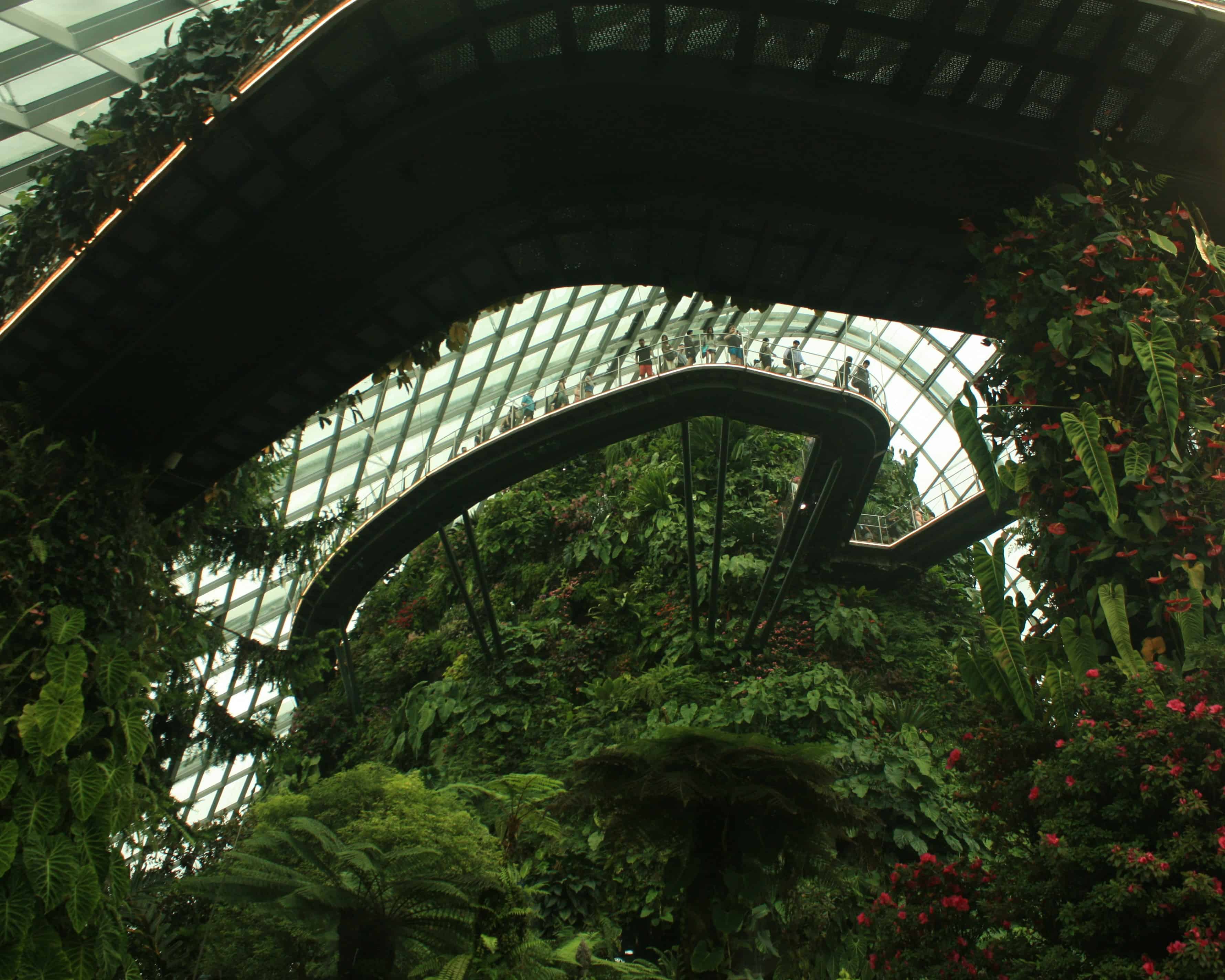 Zrevitalizované firemné átrium s okrasnou zeleňou